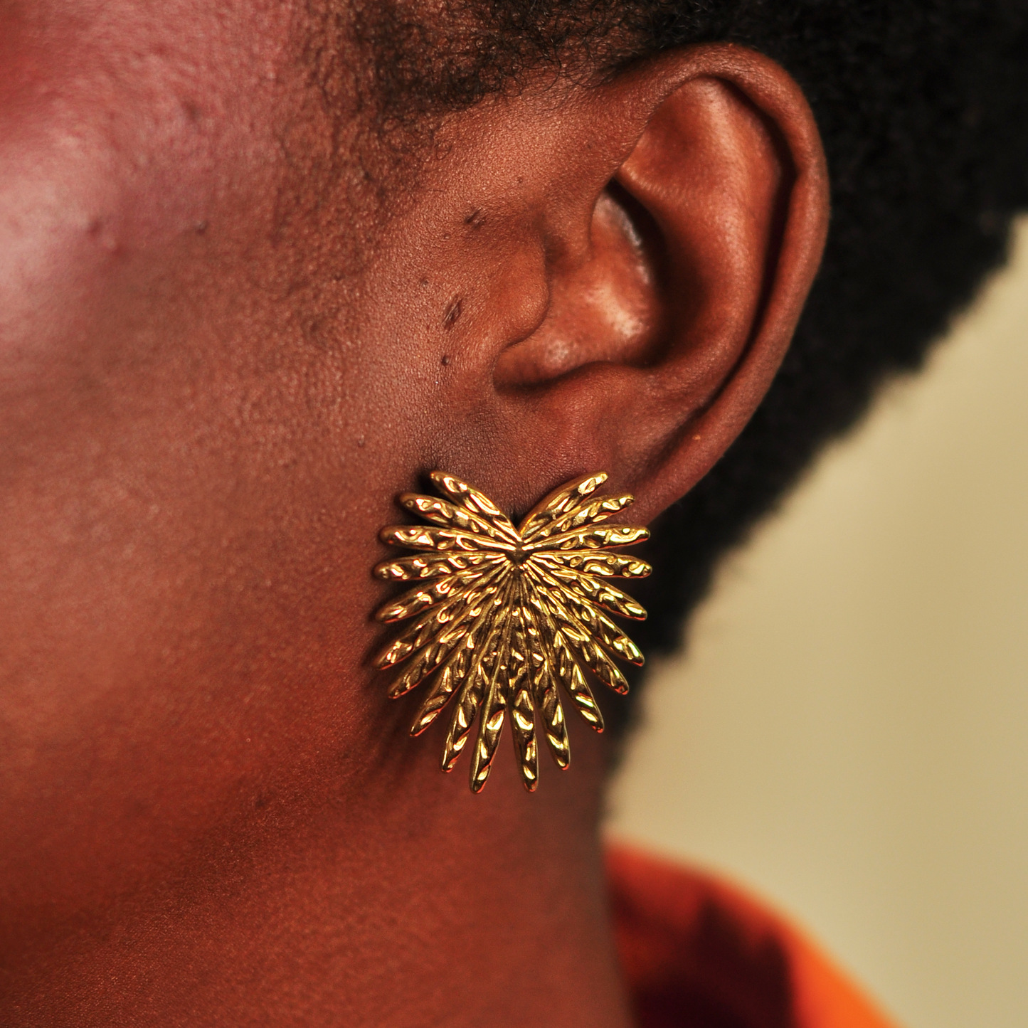Boucles d'oreilles TOUCAN