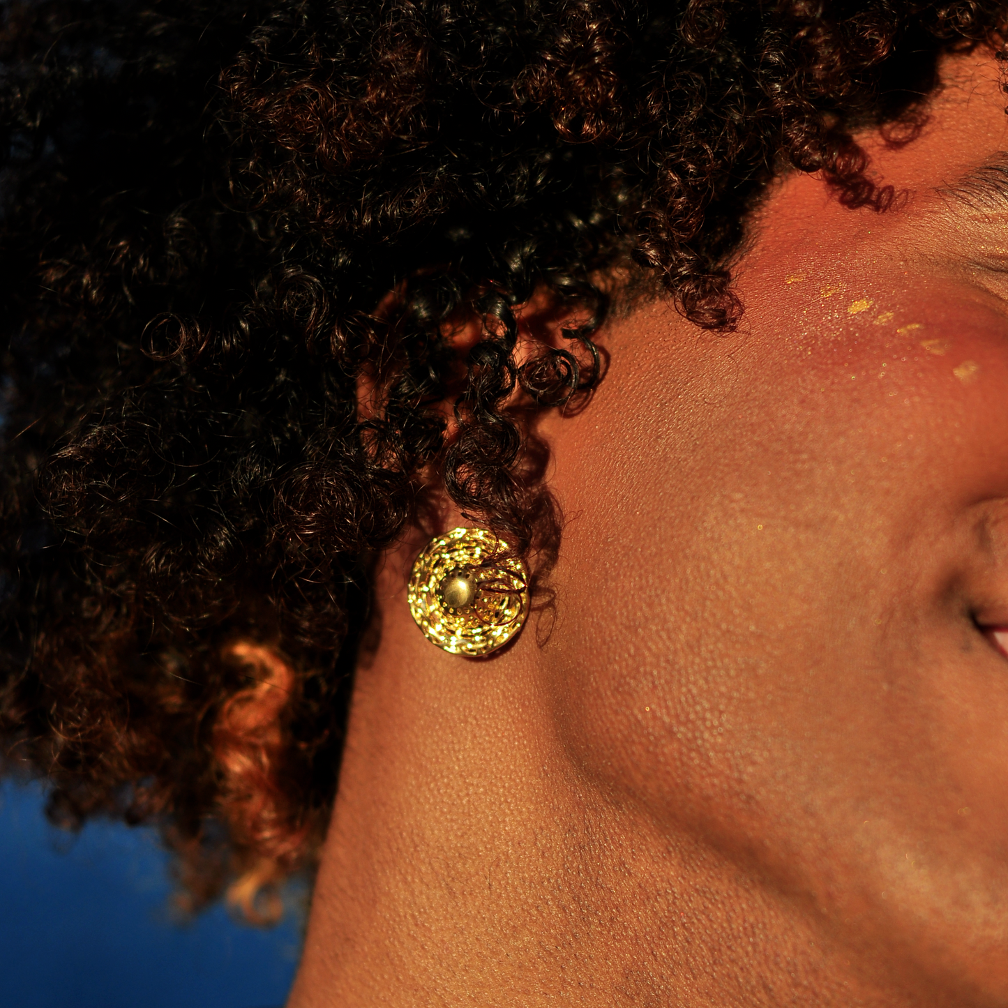 Boucles d’oreilles RAMONDA